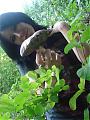 val_ml