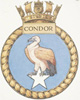 condor