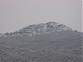 elpalos