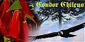 condor_chileno