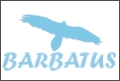 BARBATUS