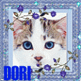 Dori1