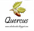 Quercus 4.0