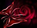 farfalla76