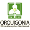 FranciscoArchila