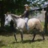 equinus