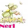 neri