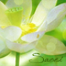 Saori