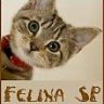 Felina_SP