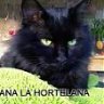Ana la hortelana