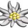 Aridane
