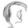 NaNoX