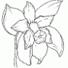 LUBAKI