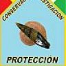 niTeNs