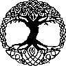 JMsempervirens
