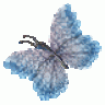 jazmin hortensia