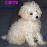 peque