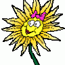 angiosperma