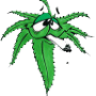 Kravenbcn