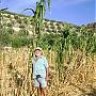 tohil