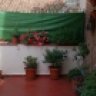 AlviDj