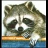 Mapache