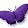 lilithput