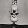 azofaifo