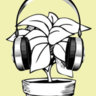 Finch_B