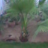 angel corredera