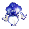 CUCOGARDEN