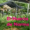 El huerto de Norma