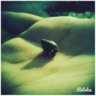 Aitor01