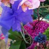 ulises.floristaa..