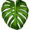 detodasformas
