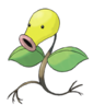 Elena ECO