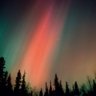 borealis