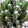 soloaventura