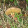 rubenbiologo96