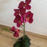 Fralli