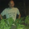 darioluis