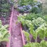 rober_asturias