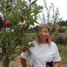 Rebeca Souto