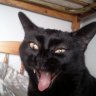 jopse666
