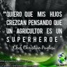 Armando Ochoa
