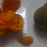 Manueliz