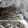 Almarfu