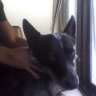 roccoco
