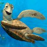 CrushTortuga