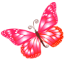 Butterfly1980Magic